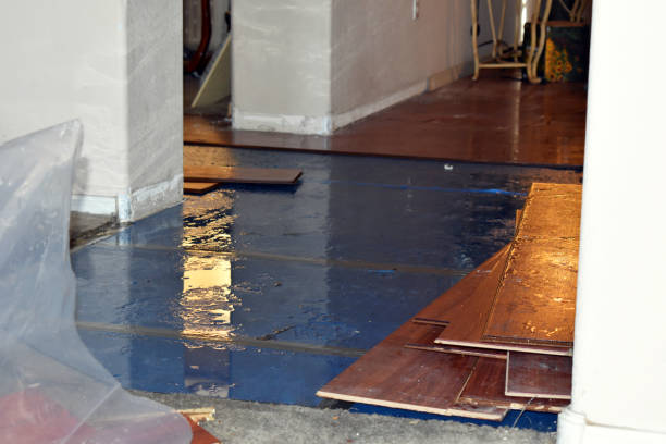 Professional Sewage Cleanup technician working in Preston, IA